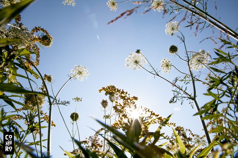 August Field photograph