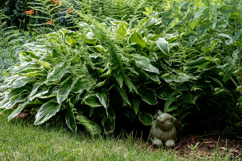 Garden House photograph