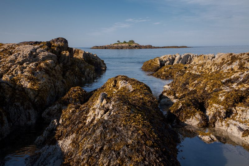 Maine Camping photograph