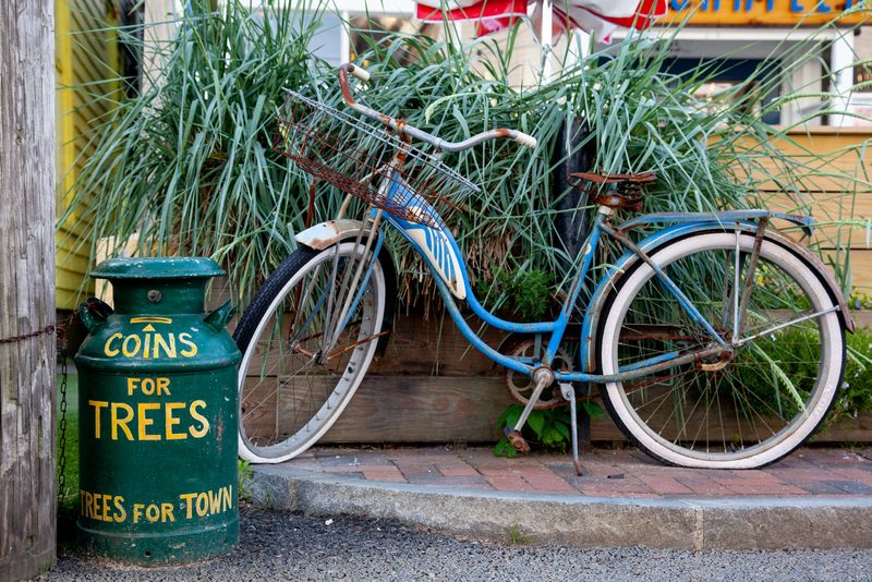 Provincetown Morning photograph